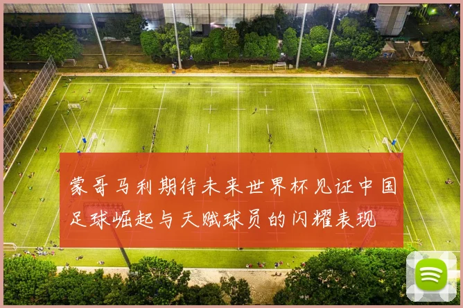 蒙哥马利期待未来世界杯见证中国足球崛起与天赋球员的闪耀表现