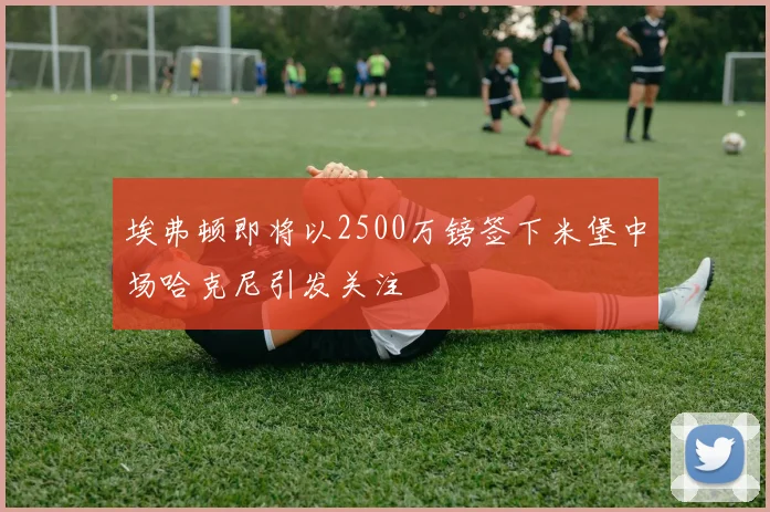 埃弗顿即将以2500万镑签下米堡中场哈克尼引发关注